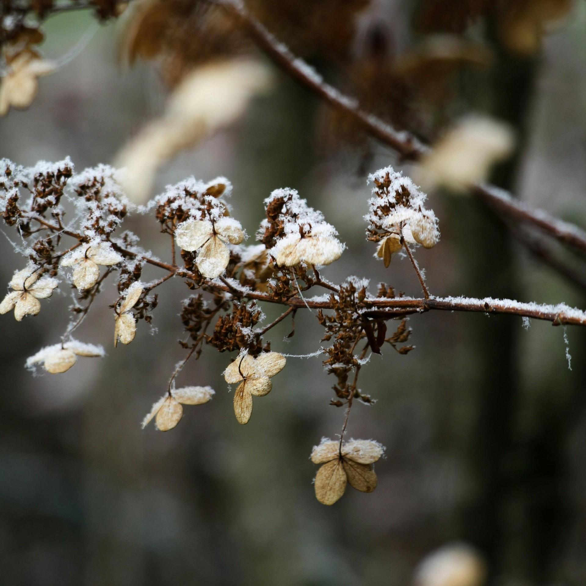 Прогноз на вторую половину ноября для всех знаков зодиака от Тамары Глобы
