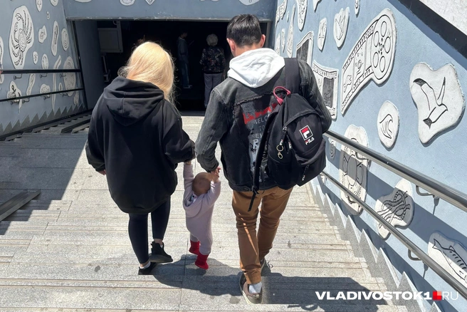 Заявление рассмотрят за 10 дней | Источник: Елена Буйвол / VLADIVOSTOK1.RU