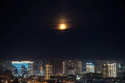 Новосибирская модель в деле Эпштейна и другие новости