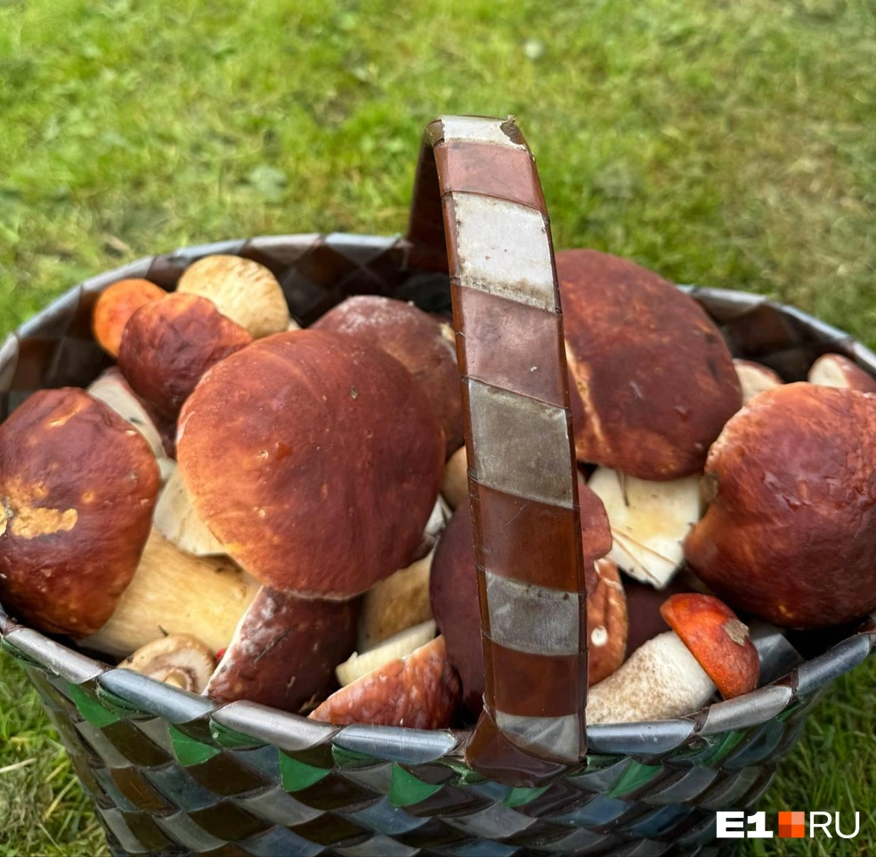 Источник: читательница E1.RU Ирина