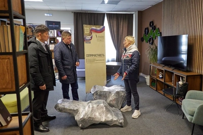 Южносахалинцы передадут инвалидные коляски девочке из ДНР