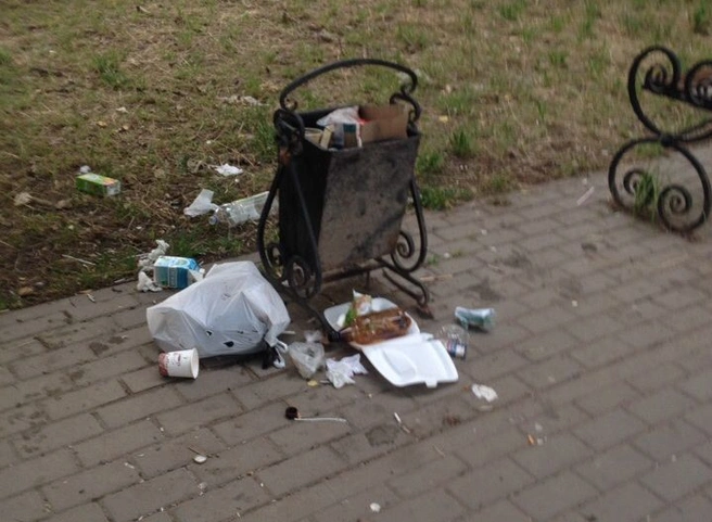 Жительница Дашково-Песочни пожаловалась на «помойку» в Дубовой роще | ya62.ru
