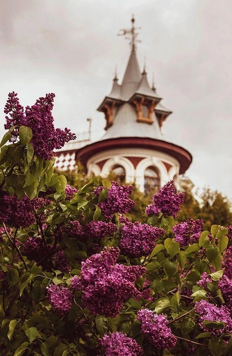 Это фото достойно места на заставке телефона!  | Источник: фотограф Инга Пеннер