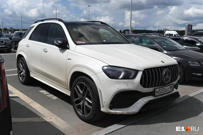 Бампер Mercedes из ХМАО облепили мошки на трассе | Источник: Дмитрий Емельянов / E1.RU