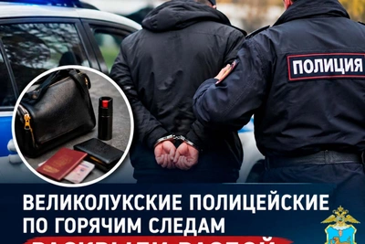 Полиция Великих Лук раскрыла разбой по горячим следам