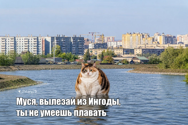 Источник: Вячеслав Палкин