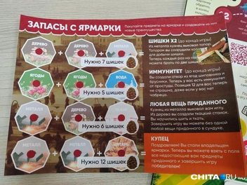 Источник: Дарья Кливенкова / CHITA.RU