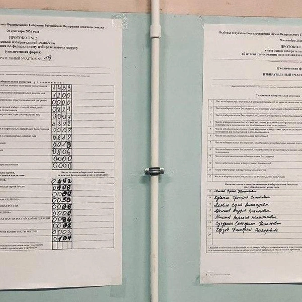 Увеличенная форма протокола после пересчета | Источник: читатель «Фонтанки»
