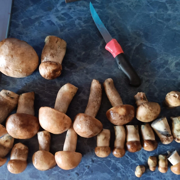 Источник: Елена Бороздина