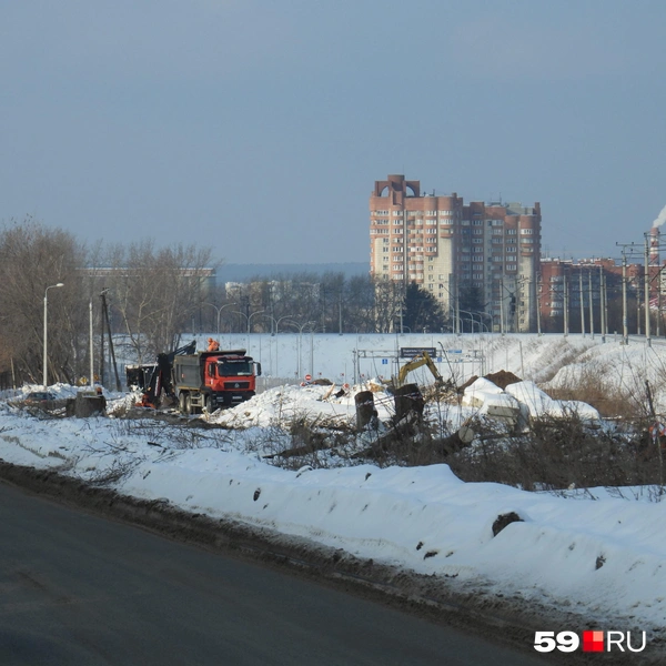 Ещё в январе здесь было больше тысячи деревьев, а сейчас — только пни | Источник: Кирилл Хафизов / 59.RU