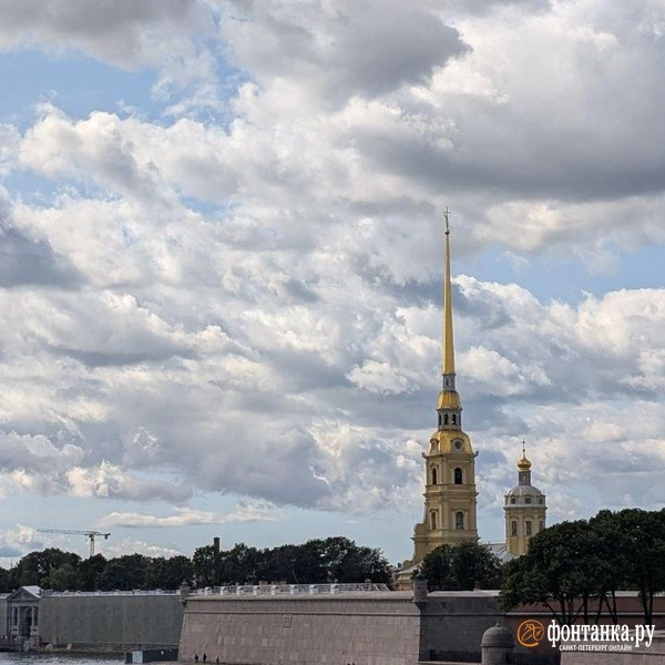 Источник: Даниил Шурыгин / FONTANKA.RU