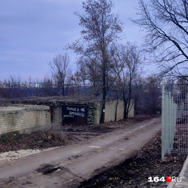 Источник: Сергей Гендин / 164.RU