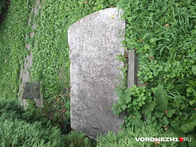 Источник: Алёна Воропаева / Voronezh1.ru