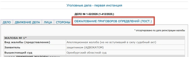 Апелляции поданы | Источник: Оренбургский областной суд