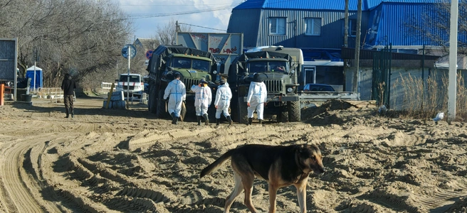 Волонтеры чистят пляжи с утра и до вечера | Источник: Тамара Пояркова 