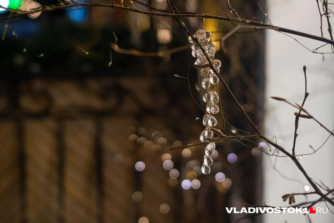 Источник: Елена Буйвол / VLADIVOSTOK1.RU