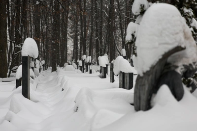 Tula Region gets double the normal January snowfall