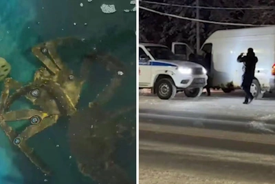 Группу по незаконной продаже крабов задержали в Мурманской области