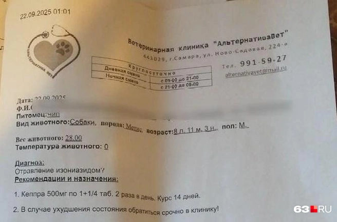 Собаке назначено лечение | Источник: Инна Исханова-Бутова