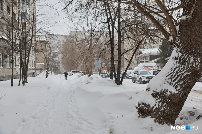 Завтра в городе будет потепление до +2 градусов, снег начнет таять | Источник: Александр Ощепков / NGS.RU