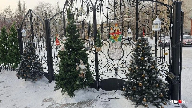 На территории собора Александра невского стоят украшенные елки | Источник: Дарья Никитченко / 45.RU