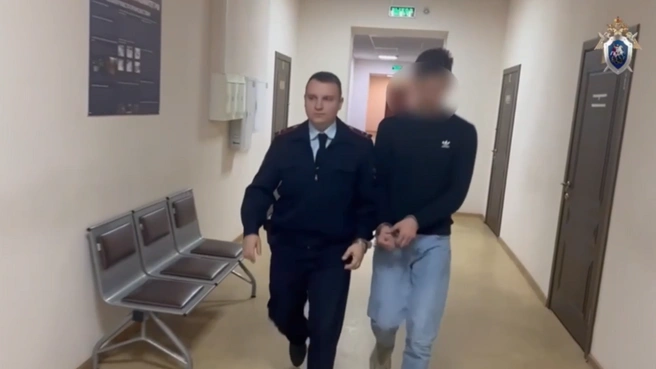 Парню 20 лет, он жил с 22-летней девушкой и убил ее из-за ревности | Источник: ГСУ СК России по Московской области / T.me
