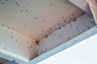 Кафе в Туле закрыли на три месяца из-за нарушений