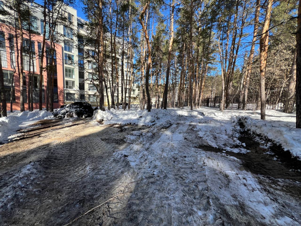 Возле коттеджного поселка «Соколиная гора» в Каштакском бору начали строить  жилой дом, срубать деревья - 27 марта 2024 - 74.ру