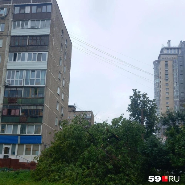 И перегородило дорогу прохожим | Источник: Карина Гольдберг, читатель 59.RU