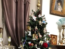 Праздник на носу! Новогодние елки Самойловой, Тарасовой, Волочковой и других звезд