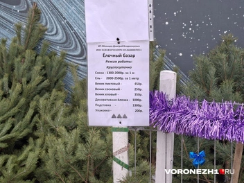 А вот и цены | Источник: читательница Voronezh1.ru