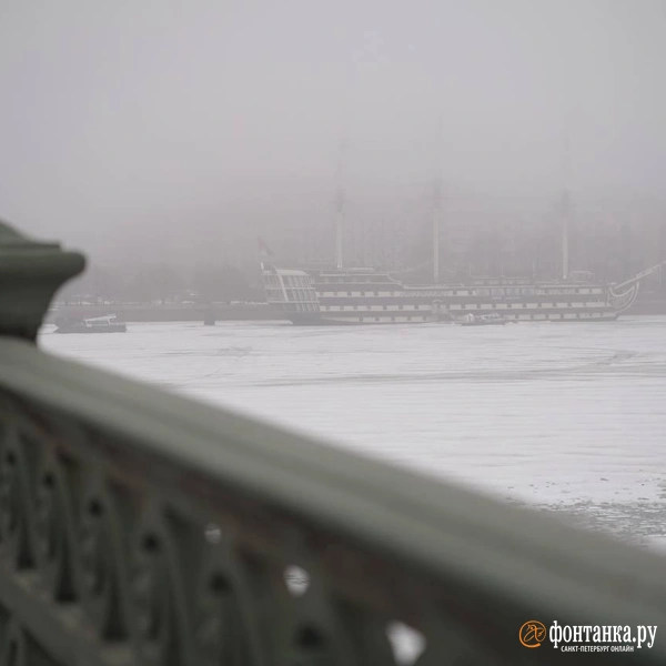 Источник:  Павел Даиси / «Фонтанка.ру