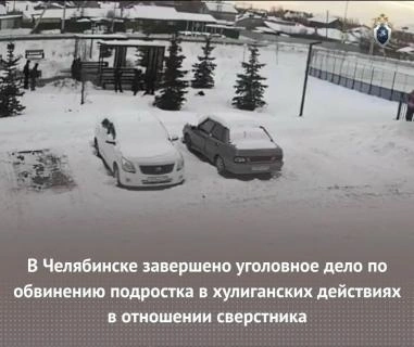 Источник: chel.sledcom.ru