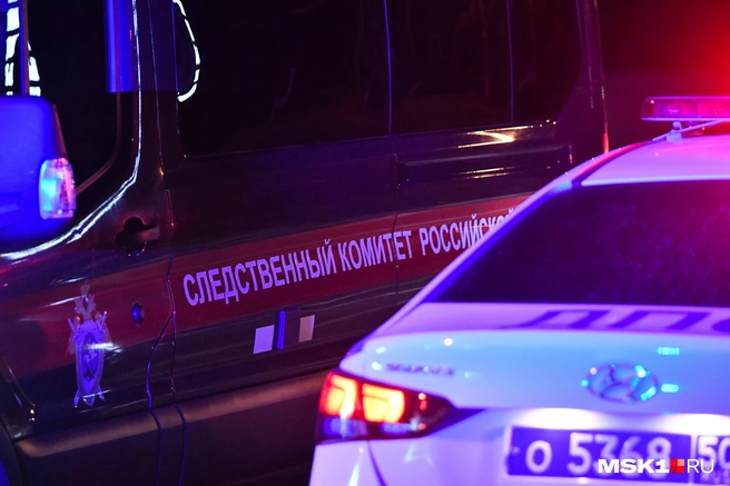 В Подмосковье супруг несколько часов издевался над женой, а затем убил | Источник: Артем Устюжанин / MSK1.RU