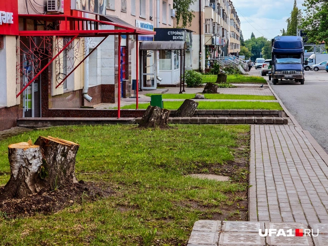 Пейзаж пока удручает | Источник: Булат Салихов / UFA1.RU