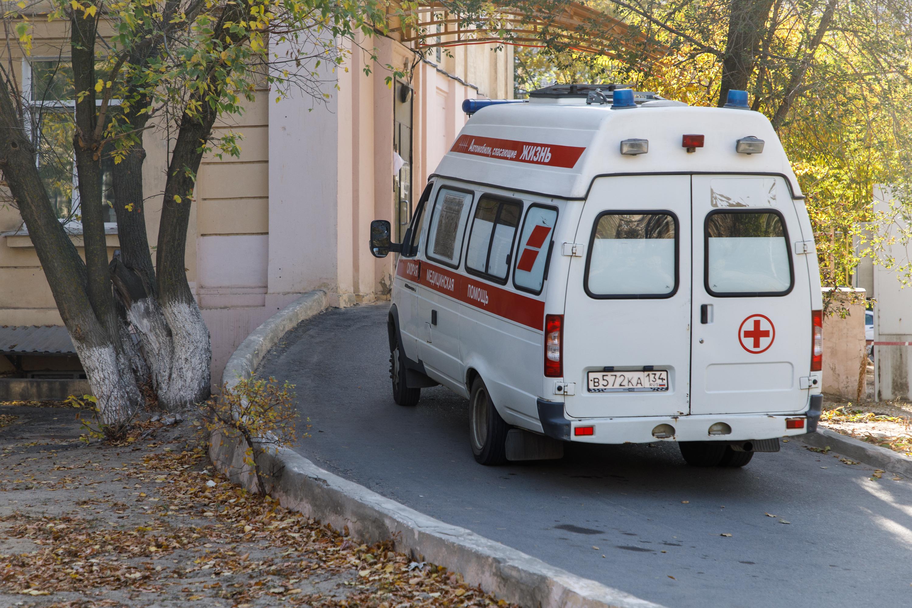 Появился новый штамм коронавируса Пирола: симптомы, опасность, лечение - 19  сентября 2023 - НГС.ру