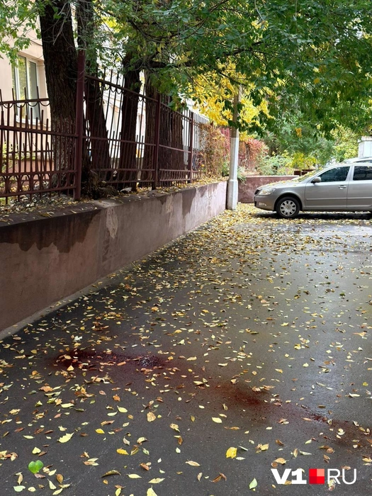 Со слов жителей, драка произошла прошедшей ночью | Источник: читатели V1.RU