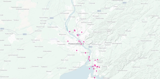 Трутовик можно собрать прямо в городе! | Источник: inaturalist.org
