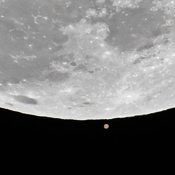 Источник: Peter Zay/Anadolu via Getty Images