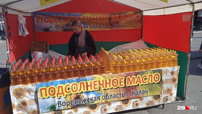 Источник: Юрий Скородумов / 29.RU