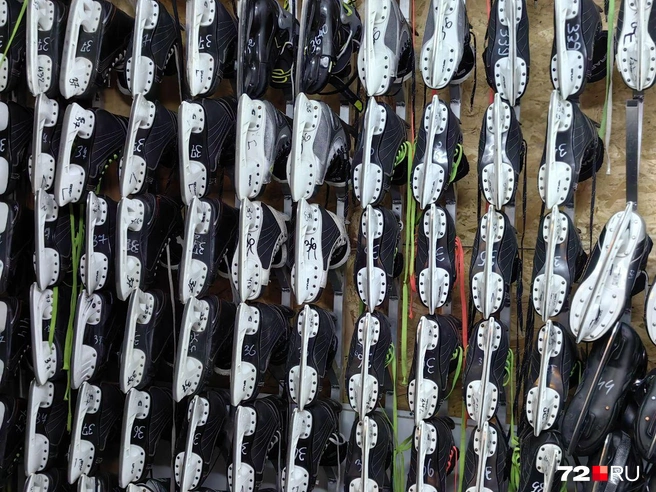 Источник: Юлия Мальцева / 72.RU