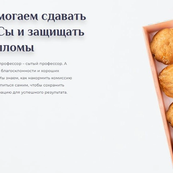 Источник: скриншот с сайта profitroli-spb.ru