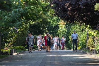 Что радует ростовчан