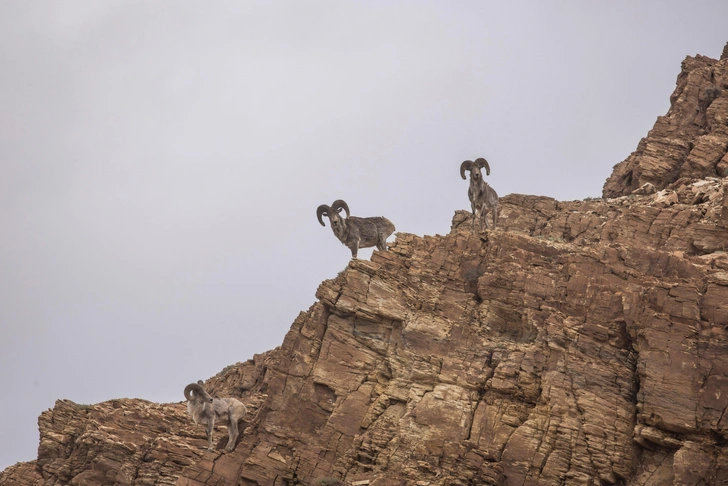 Источник: sushil kumudini chikane/Shutterstock/Fotodom.ru