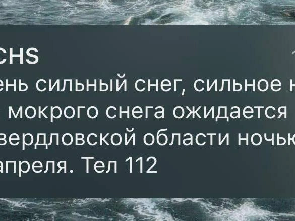 Специалисты рекомендуют по возможности оставаться дома | Источник: читатель E1.RU