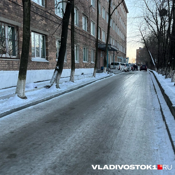 Источник: Елена Буйвол / VLADIVOSTOK1.RU