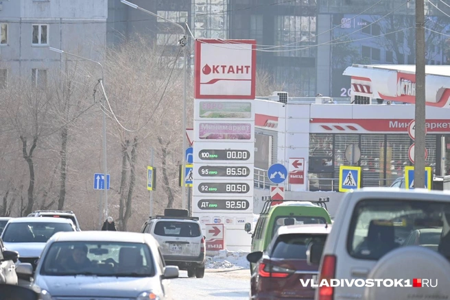 Источник: Елена Буйвол / VLADIVOSTOK1.RU
