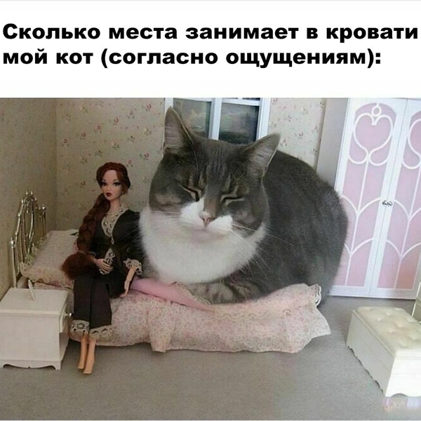 Источник: соцсети