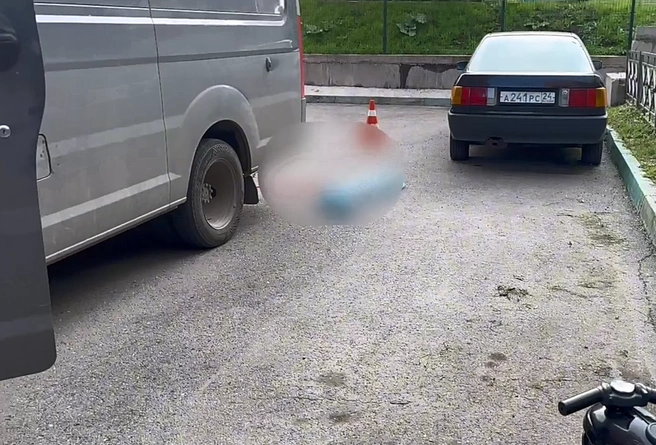 От полученных травм ребенок скончался до приезда врачей | Источник: 24_ГОСАВТОИНСПЕКЦИЯ_ / Telegram