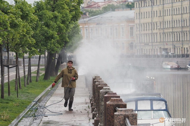 Дождь дойдет до Петербурга около 13-15 часов | Источник: Михаил Огнев / «Фонтанка.ру»